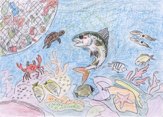 ゴミ０の海の中で、いきいきと泳ぐ生き物たち