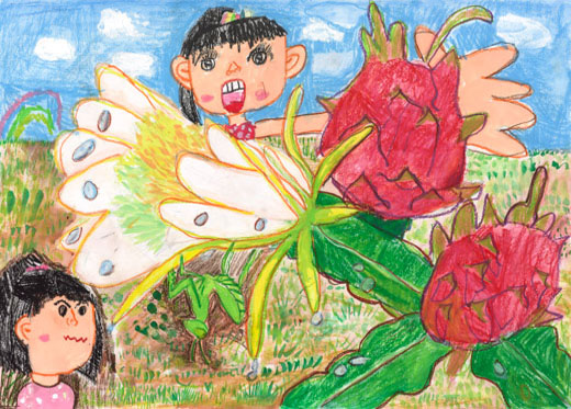 あめあがりのドラゴンフルーツ