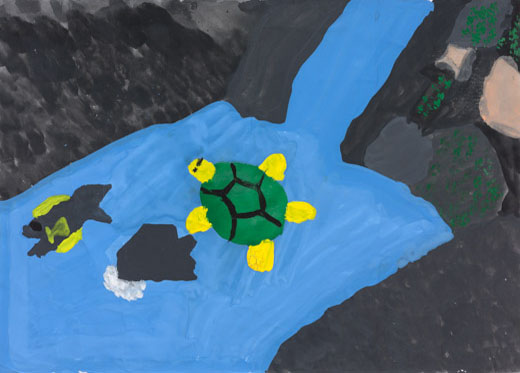 川で見つけたかめとアユ