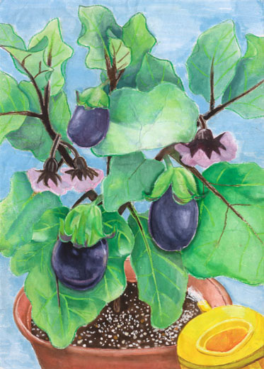 元気に育ったなす