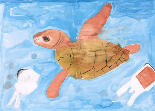 かわいそうなかめの人生