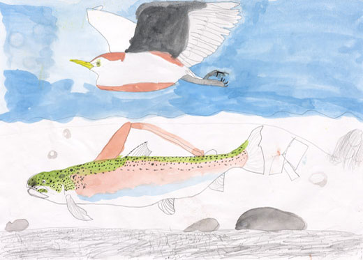 アマサギと伝説の魚イトウ水と空気をきれいに