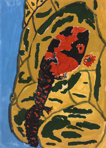 オオサンショウウオ