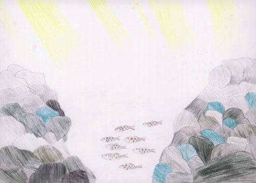 ヤマメの住む川