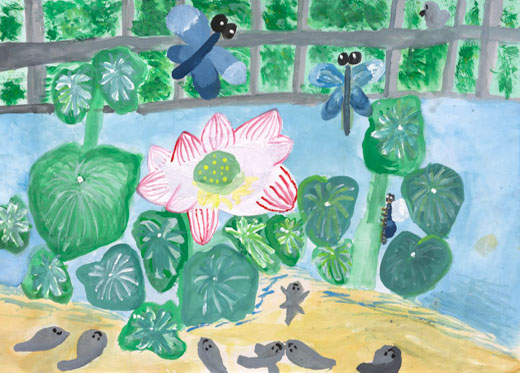 生き物が元気にくらせる池