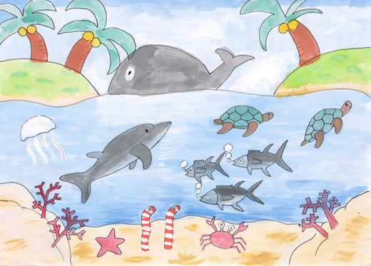 海の生き物たち
