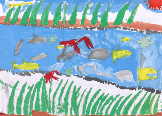 川のいきものいっぱい