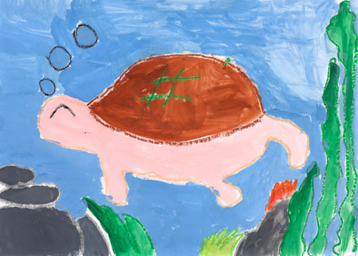 きれいな海でおよぐカメ