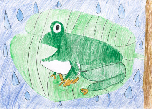 葉っぱにのったカエル