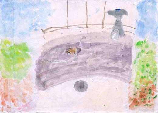 洗面所のアマガエル