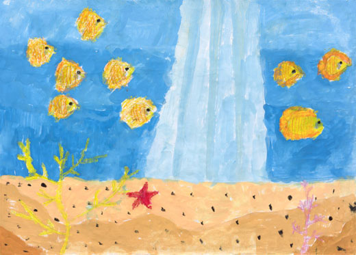 明るい海でくらしている魚