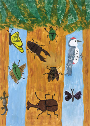 生きものがたくさんあつまるへいわな森