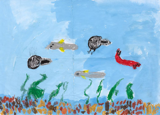 きれいな水をおよぐえびと魚とおたまじゃくし