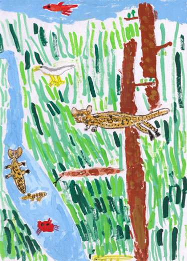 西表島の固有種たちの暮し