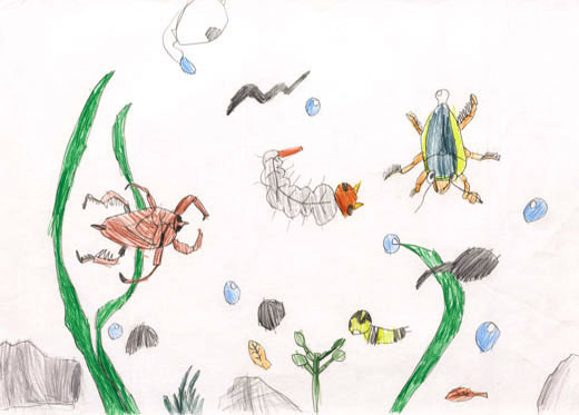 みずのなかのこんちゅうのせかい