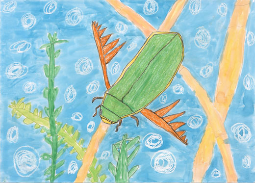 羽を広げたみたいに泳ぐゲンゴロウ