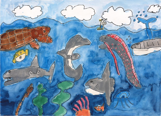 きれいな海の魚たち