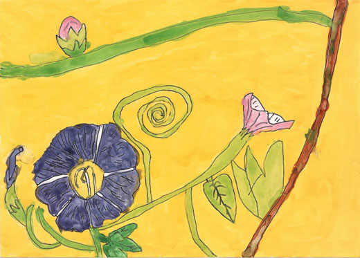 大きい、あさがお