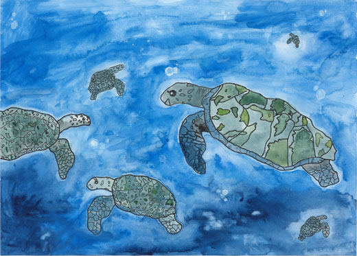 キレイな海で泳ぐかめ