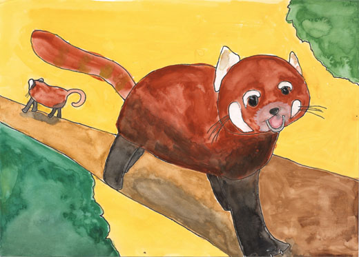 元気良く歩くレッサーパンダ