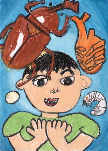 ぼくが育てている　カブトムシの一生