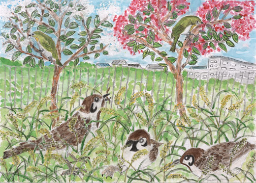 野鳥の集まる公園