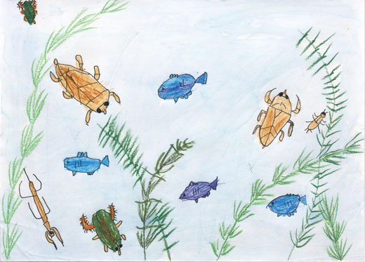 みずのいきものたち