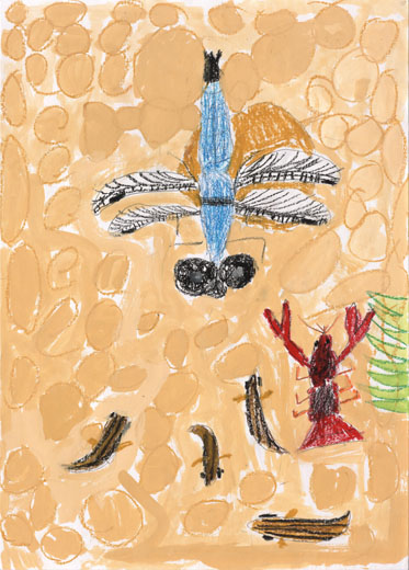 ビオトープに住む生きもの