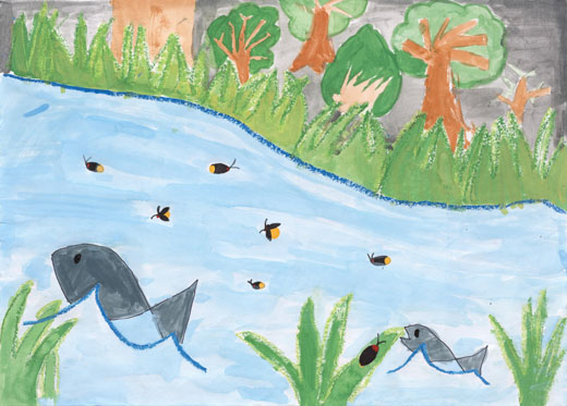 生きものが安心してすめる水にしよう！