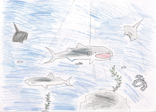 元気な水の生き物大集合