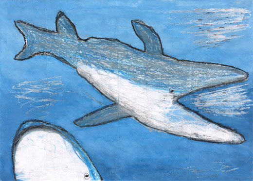 海でおよぐジンベエザメ