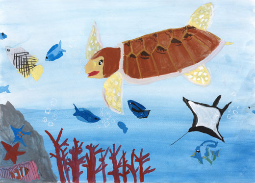 きれいな海とウミガメ