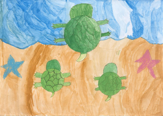 かめや魚を守ろう