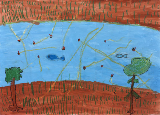 キレイになった水に出てきたほたる