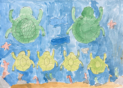 かめや魚を守ろう