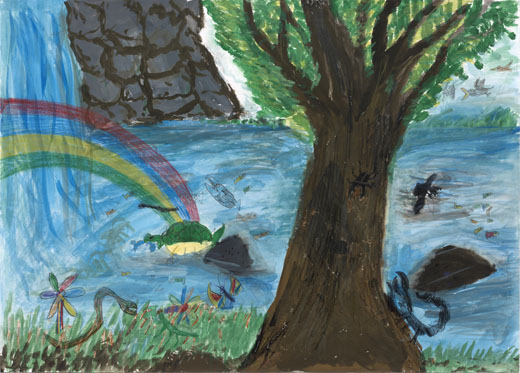 滝と川と木の生物たち