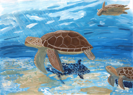 きれいな海でくらすウミガメ