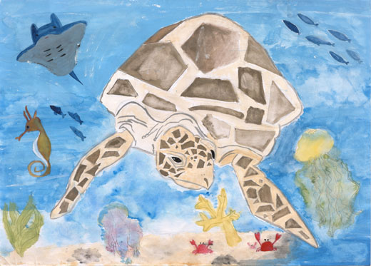 元気なウミガメ