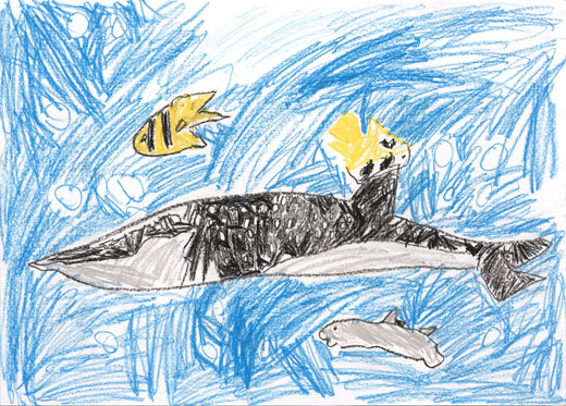 さかなたちと、ジンベイザメ