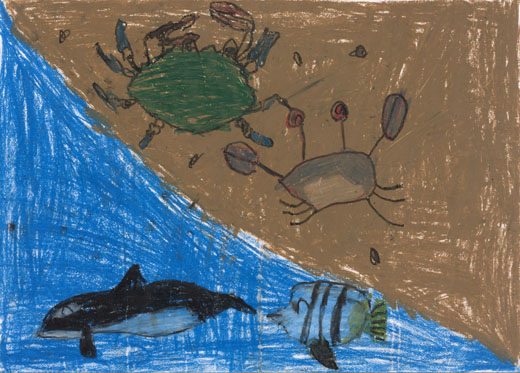 うみをきれいに