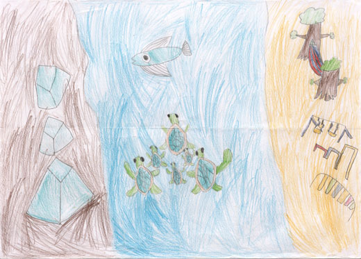 しぜんのいきもののくらし