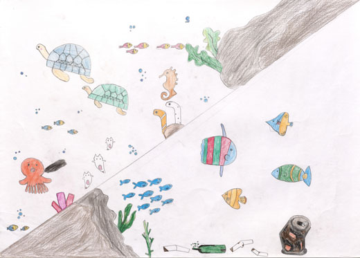 キレイをたもつうみ