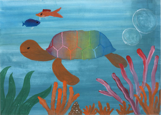 にじいろカメさん