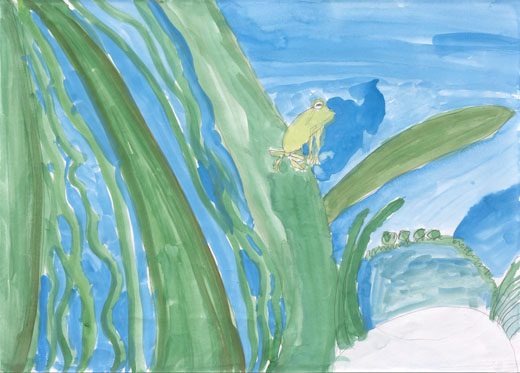 シュレーゲルアオガエル