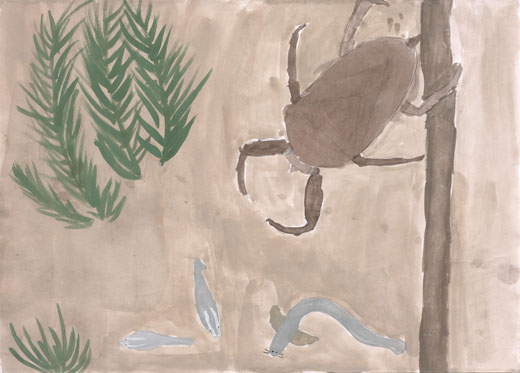 タガメのくらし