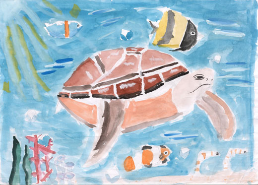 きれいな生き物たち