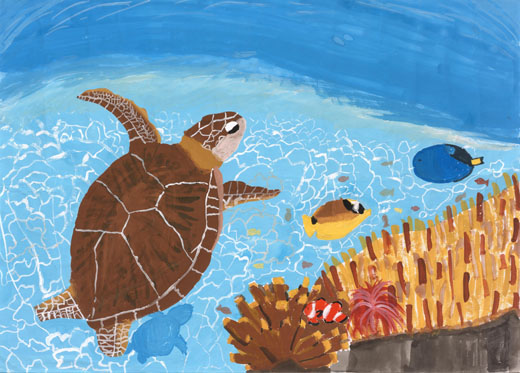 いつまでもきれいな海を。