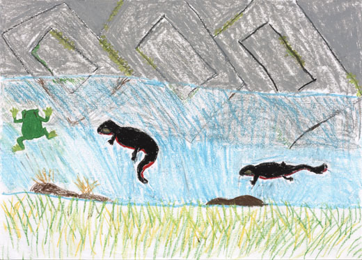 ドブにいた小さな生き物