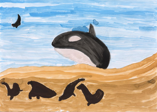 オタリアをおそうシャチ