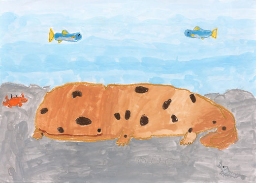 きれいな川にすむオオサンショウウオ